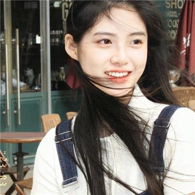 森林里的熊先生